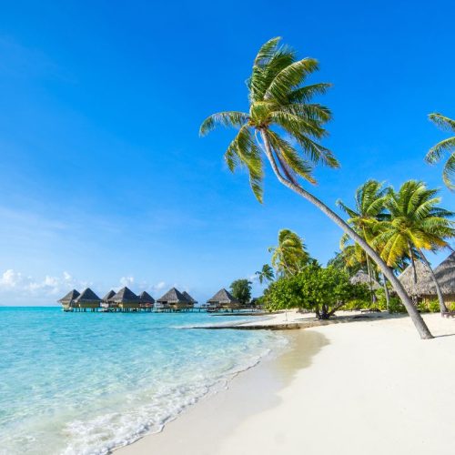 Rehab Centers in the Bahamas: The Ultimate Destination for Lasting Addiction Recovery